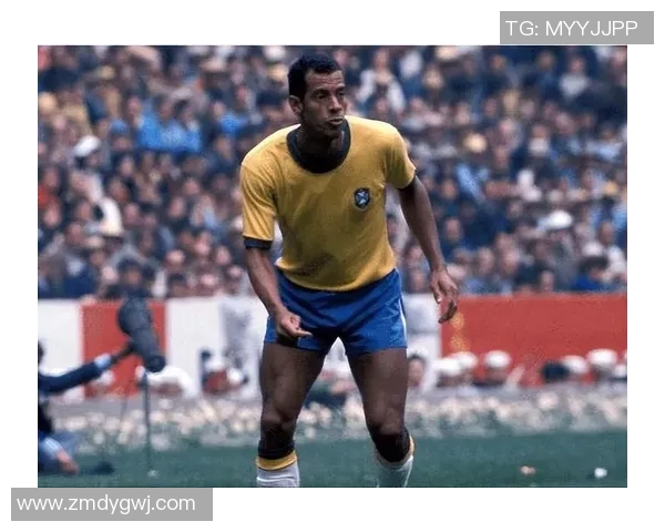 足球后卫球星8号的传奇历程与成就揭秘